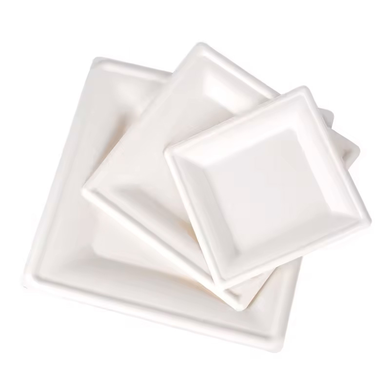 Sugarcane Bagasse Square Plate