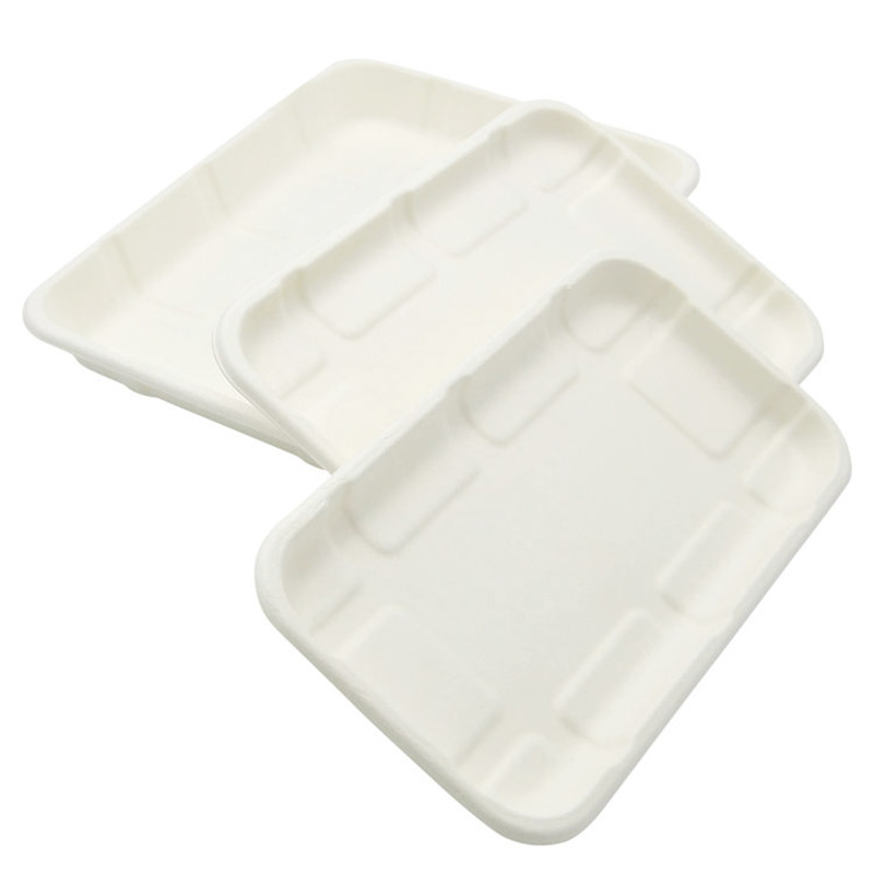 Sugarcane Rectangle Food Tray